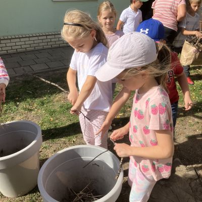 17910353325877_IMG_9037.JPG