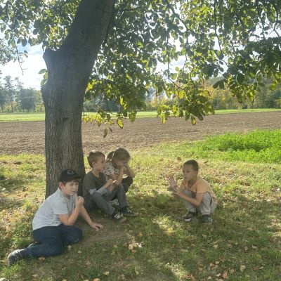 17915665329797_IMG_4302.JPG