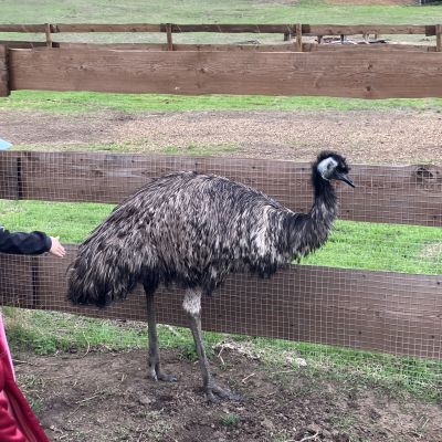 17903504282875_IMG_8948.JPG